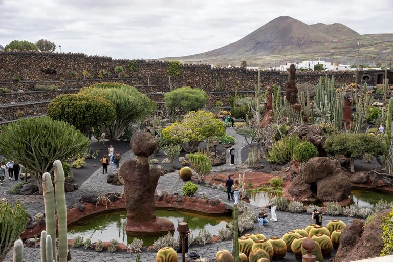 Consejos para mantener un jardín saludable durante todo el año